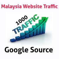 Google Traffic 1000 Visitors