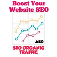 SEO Traffic