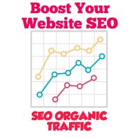 SEO Traffic 30 Days - 30000 Traffic