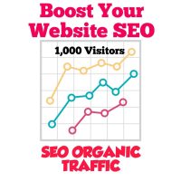 SEO Traffic - 1000 Visitors