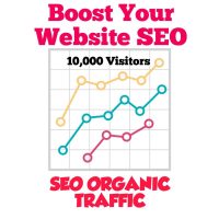 SEO Traffic - 10000 Visitors