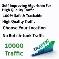 Google Traffic 10000 Visitors