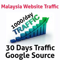 Google Traffic 30 days - 1000