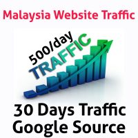 Google Traffic 30 Days - 500 Visitors