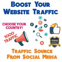 Social Media Traffic - 1000 Visitors