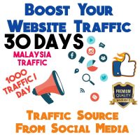Social Media Traffic 30 Days - 30000 Visitors