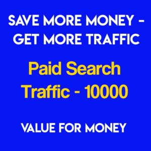 Paid Search Traffic 10000