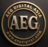Cropped aeg digital logo 2025 20.jpg